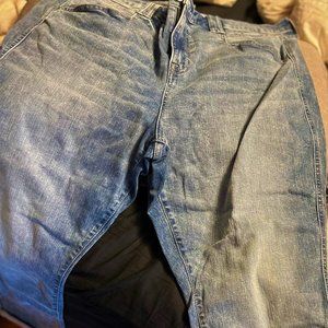 Torrid Jeans